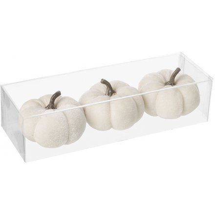 White Velvet Pumpkins - Set of 3